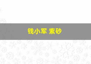 钱小军 紫砂